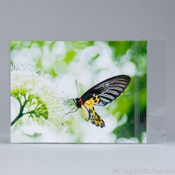 9 x 12 Print Resealable Sleeves